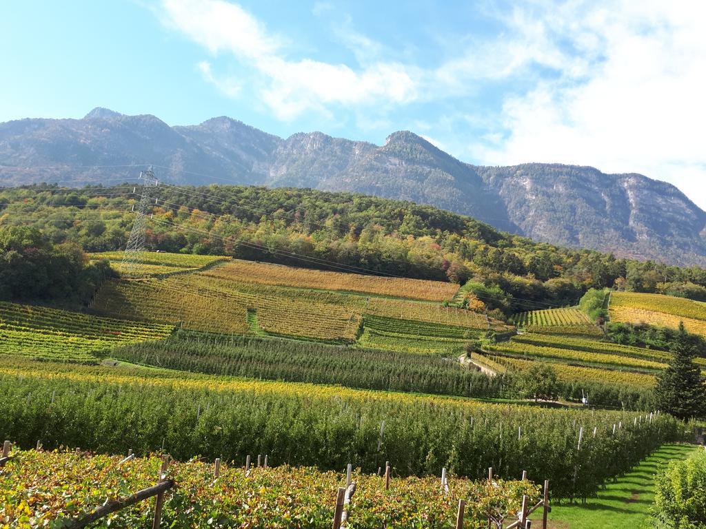 Wiesmuellerhof Caldaro Exterior photo